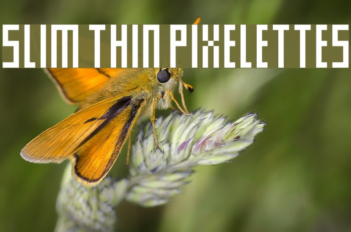 Slim thin pixelettes Font examples