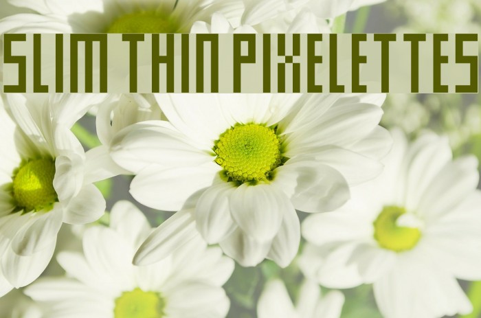 Slim thin pixelettes Font examples