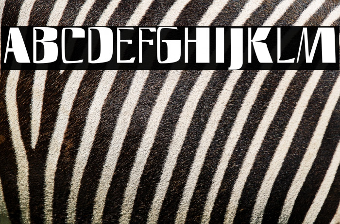 SlimFast AH Example 2