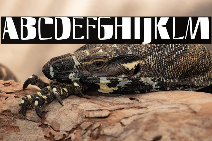 SlimFast AH Example 3