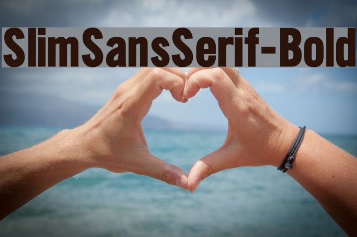SlimSansSerif-Bold Font examples
