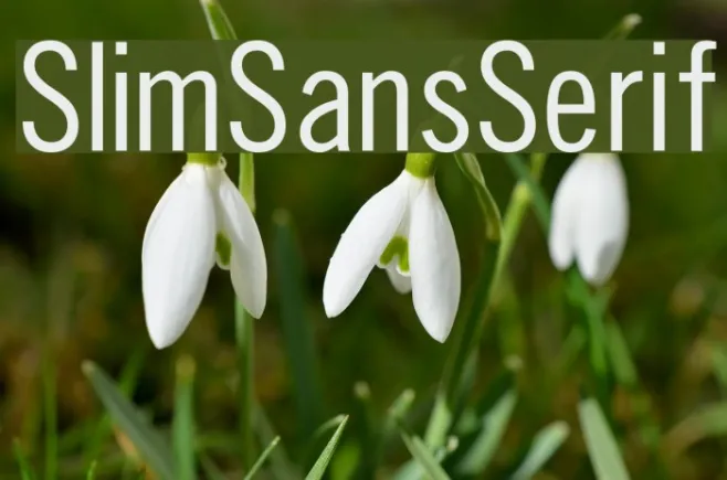 SlimSansSerif Example 1