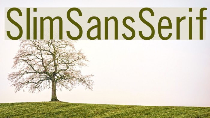 SlimSansSerif Font examples