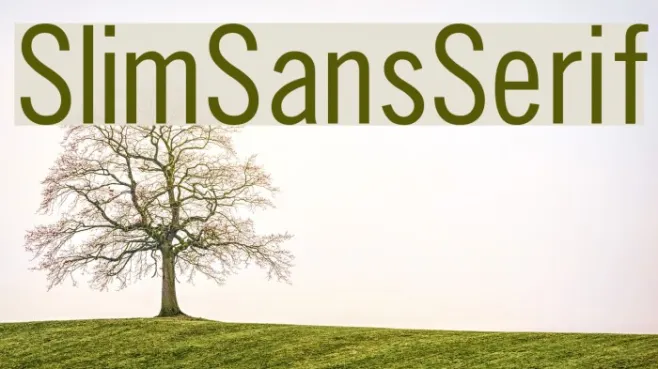 SlimSansSerif Example 3