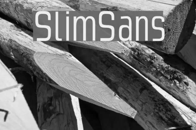 SlimSans Font examples