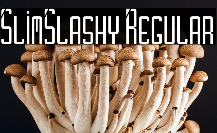 SlimSlashy Regular Example 1