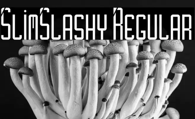 SlimSlashy Regular Font examples