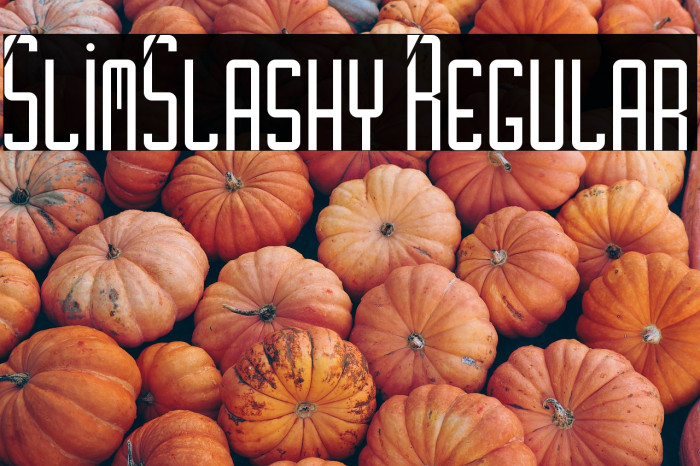 SlimSlashy Regular Example 2