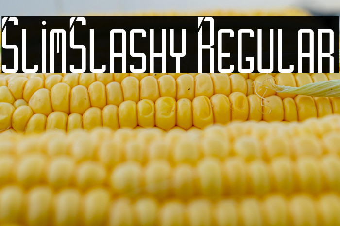 SlimSlashy Regular Example 3