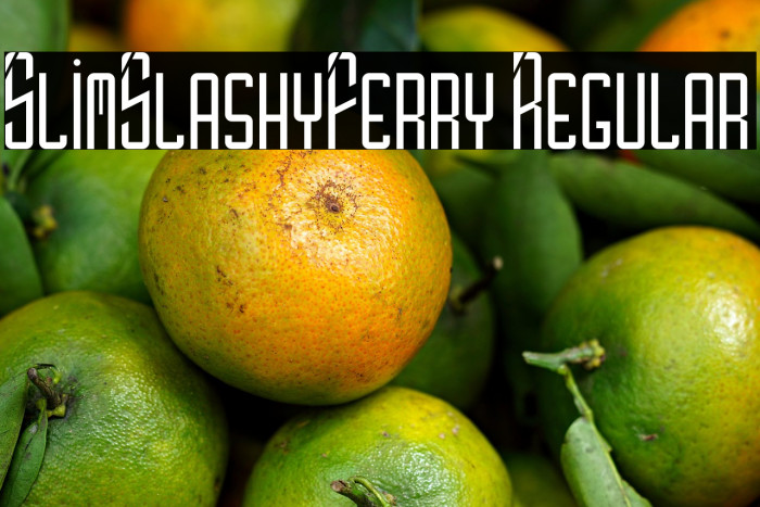 SlimSlashyFerry Regular Example 1