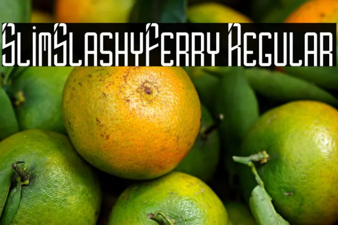 SlimSlashyFerry Regular Example 1