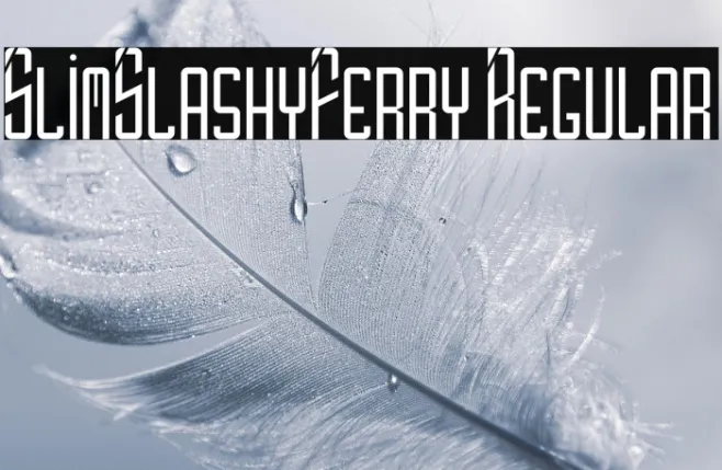 SlimSlashyFerry Regular Example 2