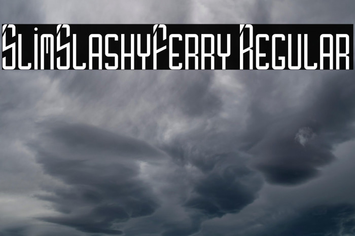 SlimSlashyFerry Regular Example 3