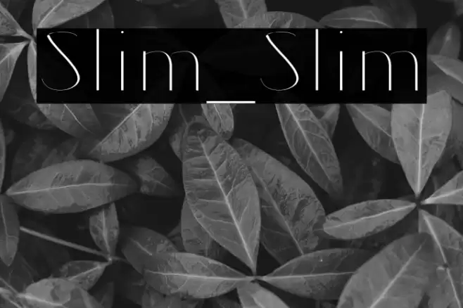 Slim_Slim Font examples