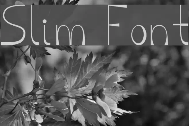 Slim Font examples