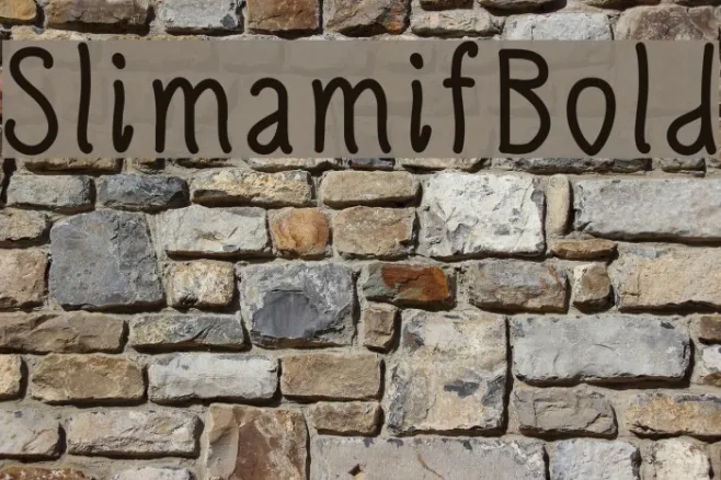SlimamifBold Example 3