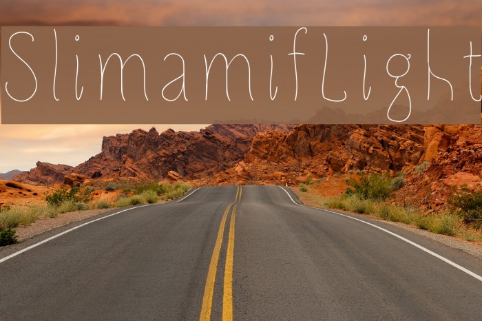 SlimamifLight Example 1