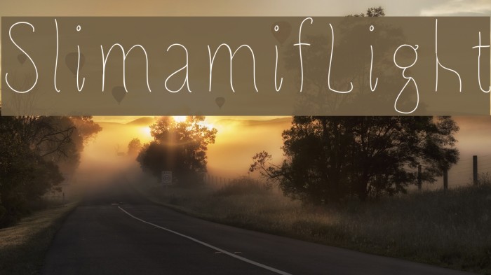 SlimamifLight Example 2