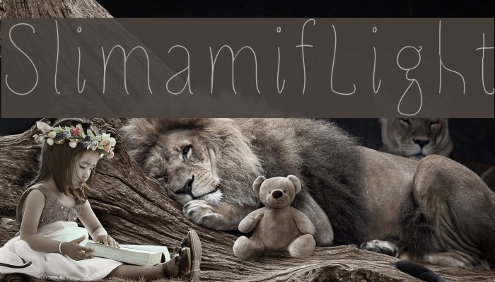 SlimamifLight Example 3