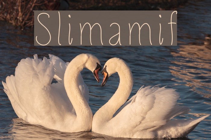 Slimamif Schriftart examples