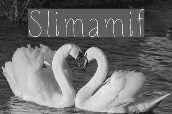 Slimamif Schriftart examples