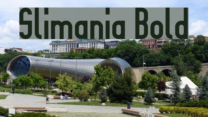Slimania Bold Font examples