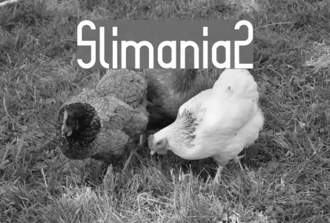 Slimania2 Font examples