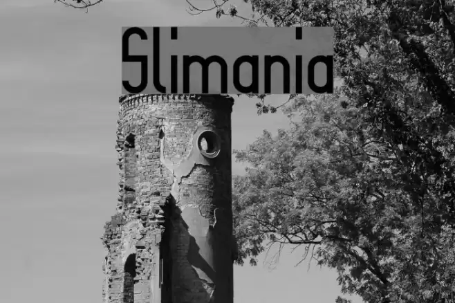 Slimania フォント examples