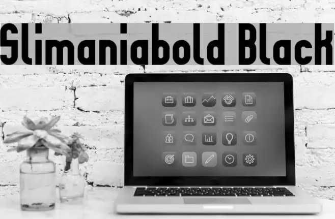 Slimaniabold Black Polices examples