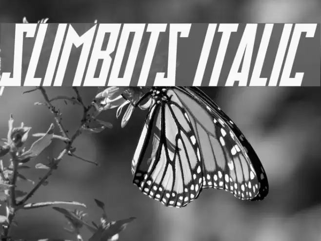 Slimbots Italic Caratteri examples