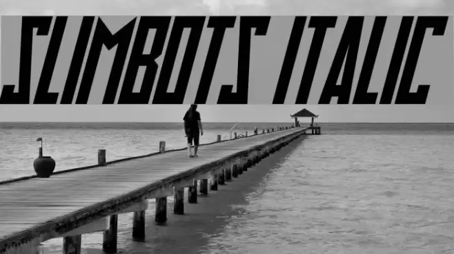 Slimbots Italic Caratteri examples