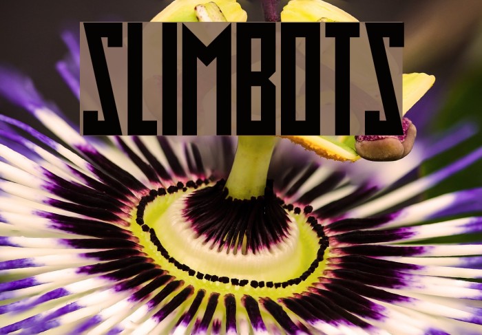 Slimbots फ़ॉन्ट examples
