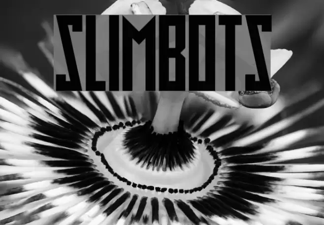 Slimbots Font examples