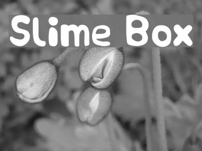 Slime Box Font examples