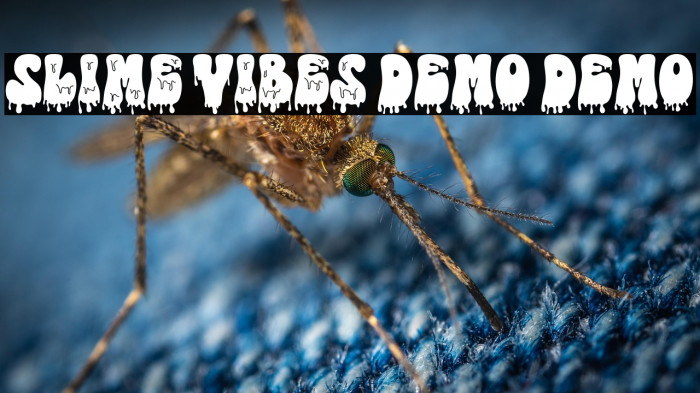 Slime Vibes DEMO DEMO フォント examples