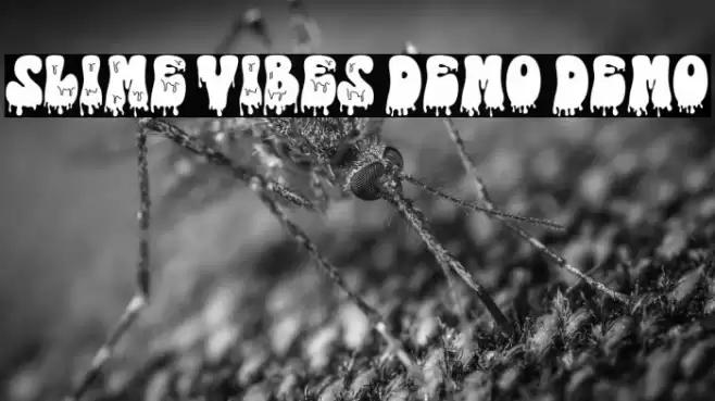 Slime Vibes DEMO DEMO Fuentes examples