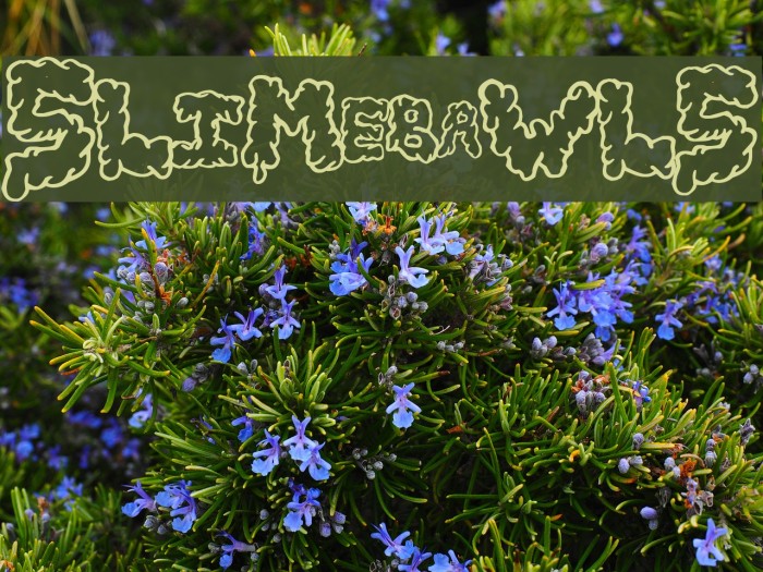 SlimeBawls Font examples