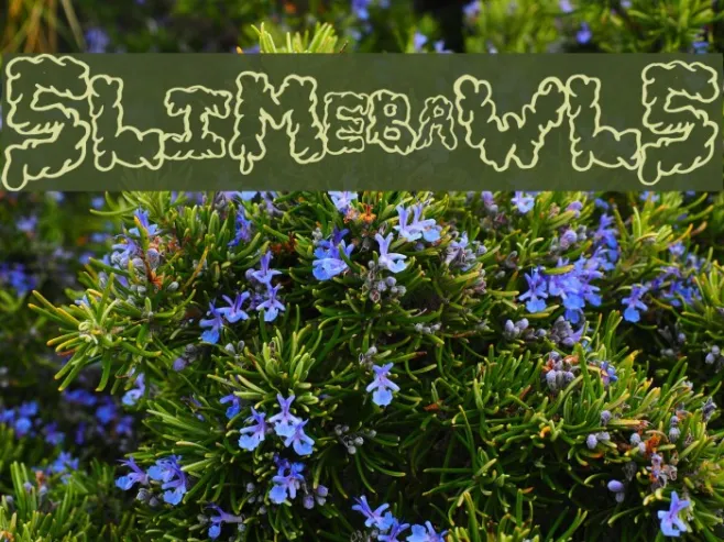 SlimeBawls Example 2