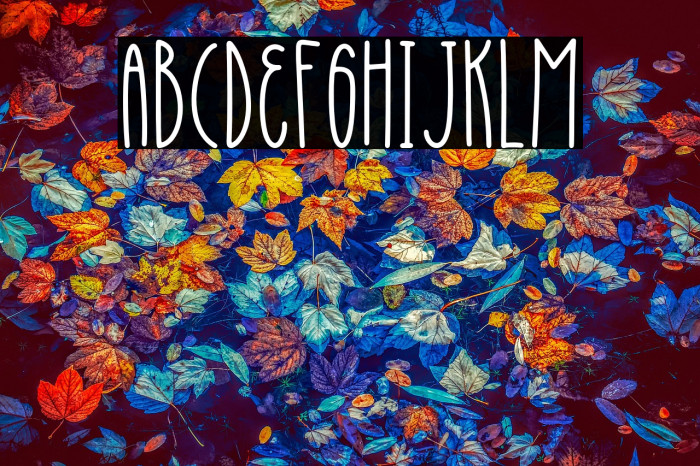 SlimeCandy Example 2