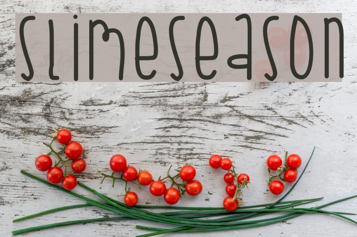 SlimeSeason Example 1