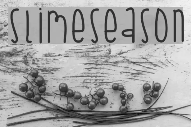 SlimeSeason Font examples