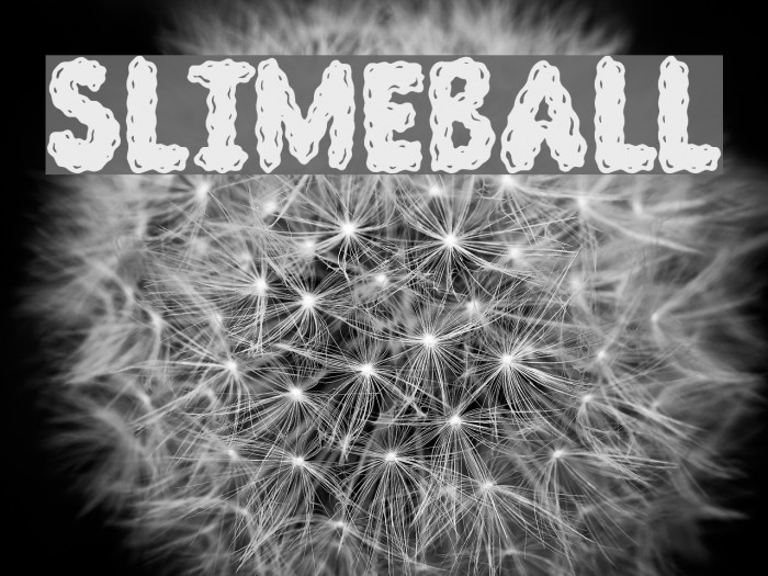 Slimeball Font examples