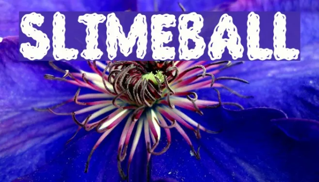 Slimeball Example 3