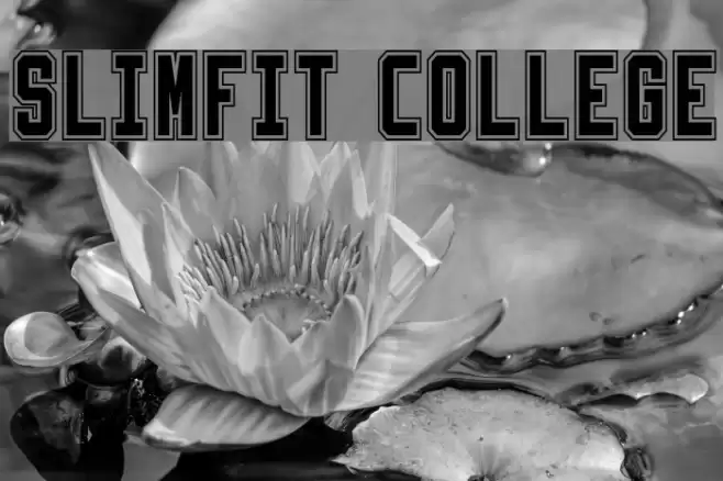 Slimfit College Font examples