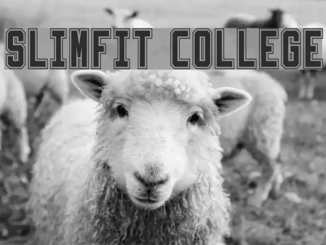 Slimfit College Font examples
