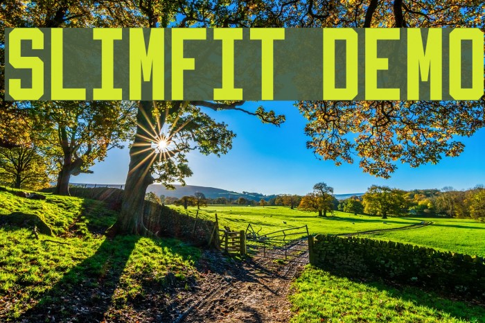 Slimfit Demo Example 1