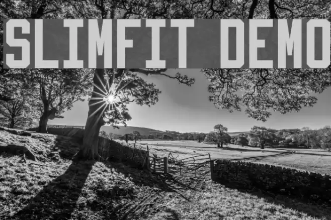 Slimfit Demo Font examples