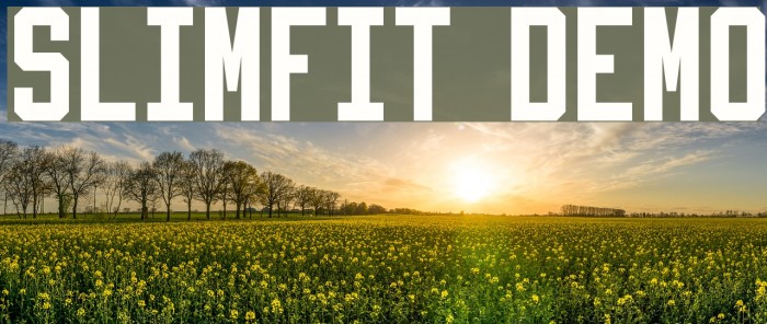 Slimfit Demo Example 2