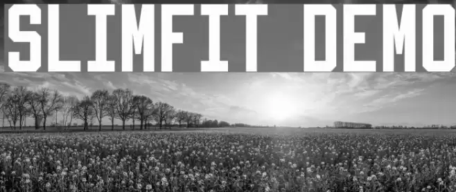 Slimfit Demo Font examples
