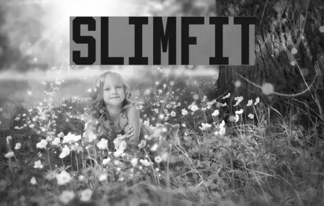 Slimfit Font examples